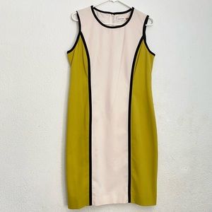 Calvin Klein Dress